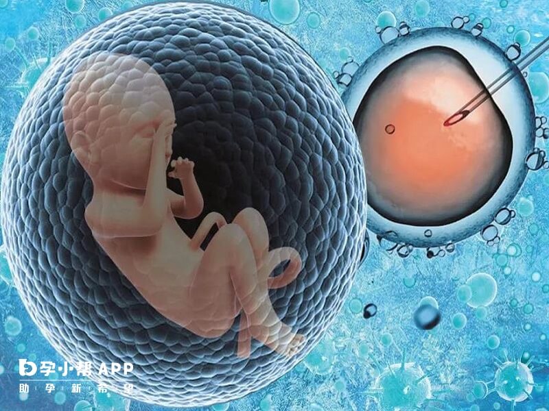 乌克兰试管婴儿全流程费用预估，生孩子的开销真不少