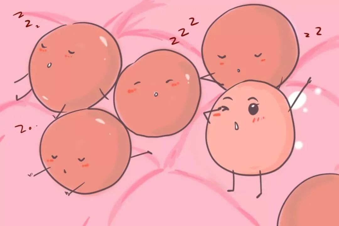 试管婴儿失败原因_提高试管婴儿成功率的方法_在哈萨克斯坦试管助孕