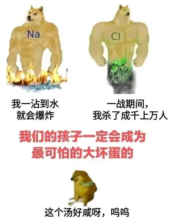 加纳试管_加纳化学实验_虚拟化学实验软件NB实验室
