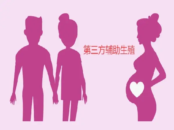 吉尔吉斯斯坦海外助孕成功后，如何让宝宝合法回国?证件办理详解