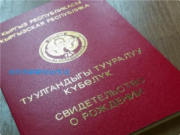 国外助孕的宝宝如何回国_吉尔吉斯斯坦海外助孕回国落户_吉尔吉斯斯坦第三方辅助生殖